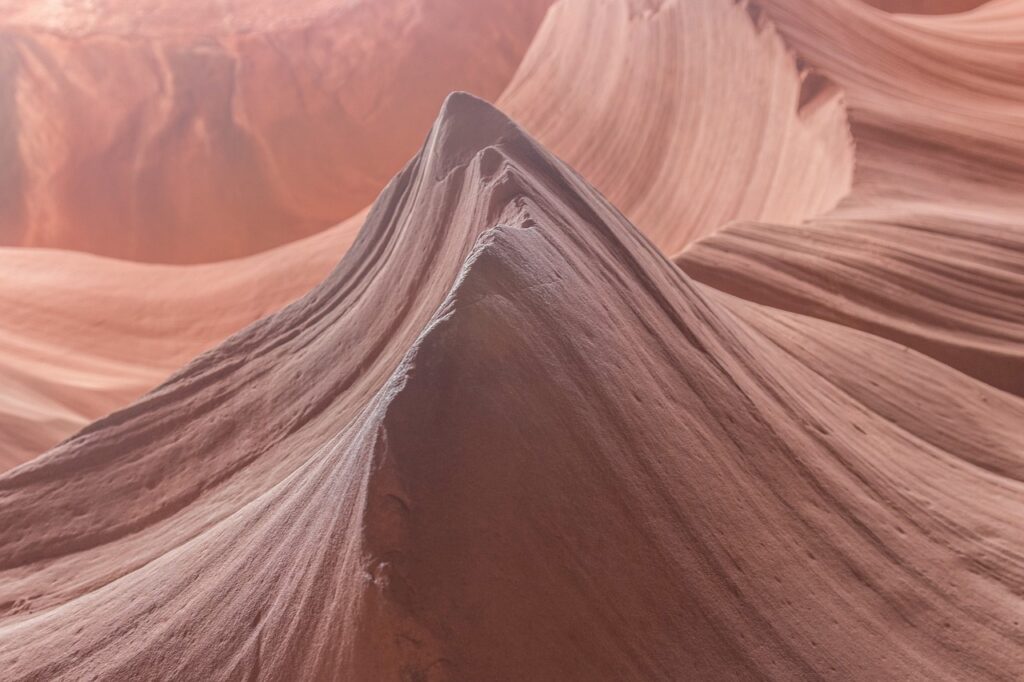 東京発の1泊2日伊勢神宮ツアーのおすすめプランは？