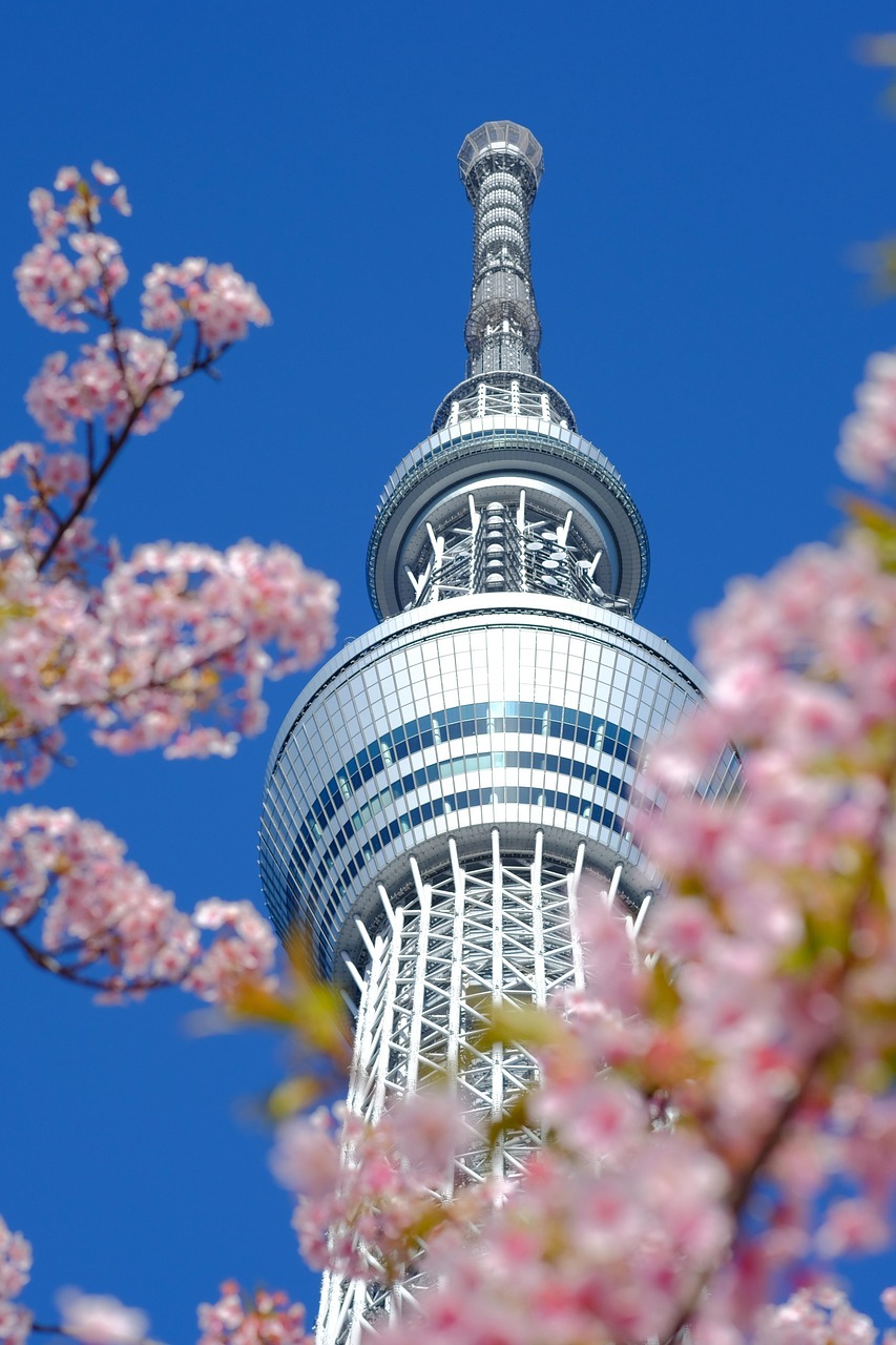 東京から飛騨高山への行き方はどれが最適？