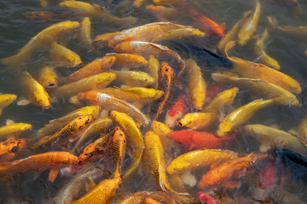 東京発の1泊2日伊香保旅行で混雑回避するためのコツは？