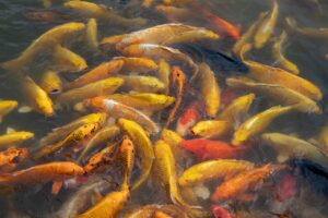 東京発の1泊2日伊香保旅行で混雑回避するためのコツは？