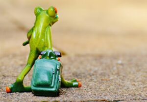 東京旅行の最適ルートはこれだ！あなたの旅をもっと楽しくする方法は？